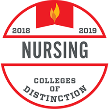 Nursing College of Distinction Badge 2018-19