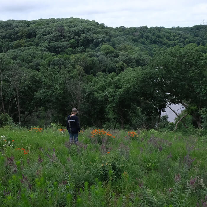 Person looking off into the distance on a prairie